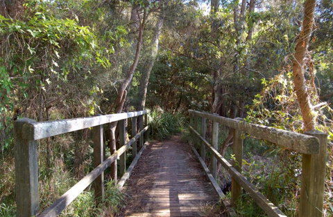 Awaba Bay Foreshore Walk - South Australia Travel 0