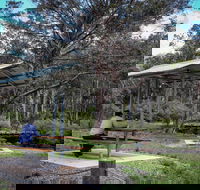 Barrington Tops State Forest - South Australia Travel