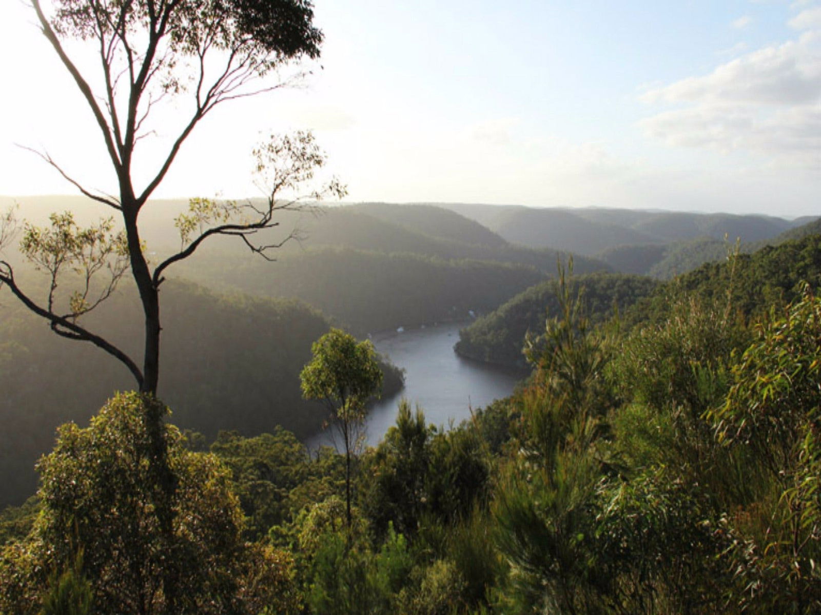 Thornleigh NSW South Australia Travel
