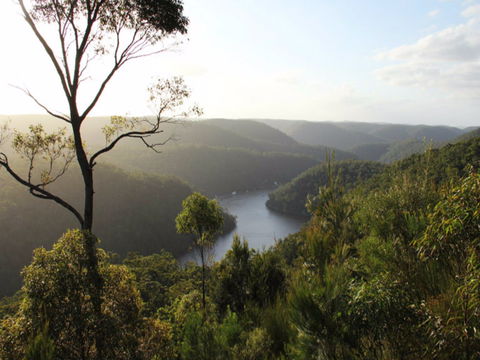 Berowra Valley National Park - South Australia Travel 0