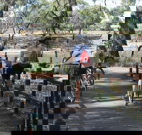 Bidgee Riverside Trail  - Hay Nature Walk - South Australia Travel