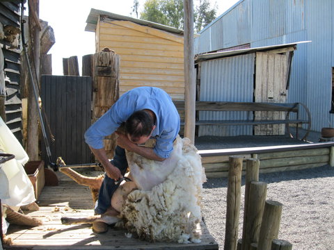 Boggy Creek Show - South Australia Travel 2