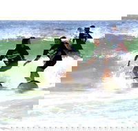 Broadbeach Surf School - South Australia Travel
