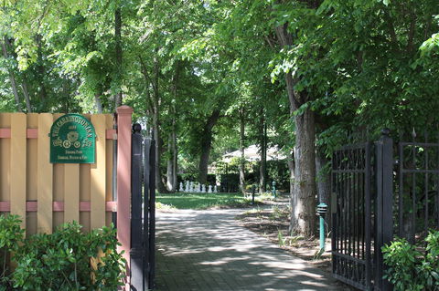 Bungendore Heritage Walk - South Australia Travel 0