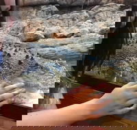 Canberra Reptile Zoo - South Australia Travel