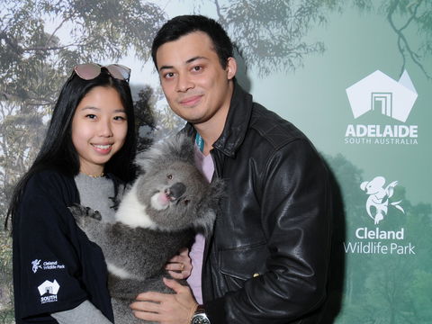 Cleland Wildlife Park - Koala Hold - South Australia Travel 0