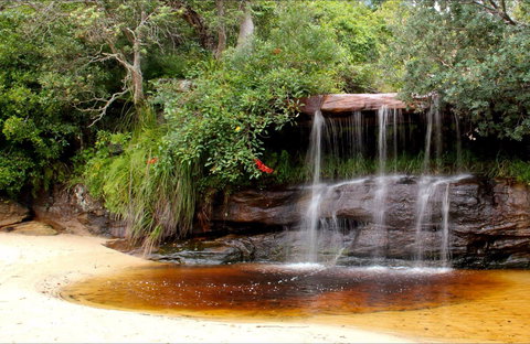 Collins Flat Beach - South Australia Travel 0