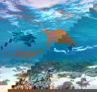 Coral Bay - South Australia Travel