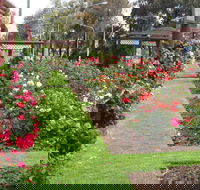 Cowra Rose Garden - South Australia Travel