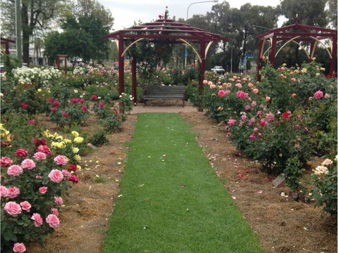 Cowra Rose Garden - South Australia Travel 1
