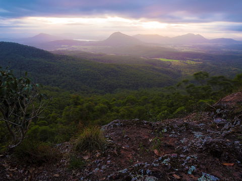Cunninghams Gap And Spicers Gap, Main Range National Park - South Australia Travel 0