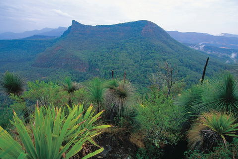 Cunninghams Gap And Spicers Gap, Main Range National Park - South Australia Travel 1