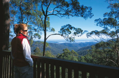 D'Aguilar National Park - South Australia Travel 0