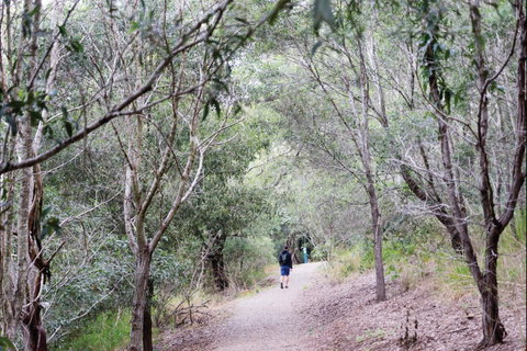 D'Aguilar National Park - South Australia Travel 2