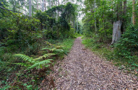Double Wharf Trail - South Australia Travel 0