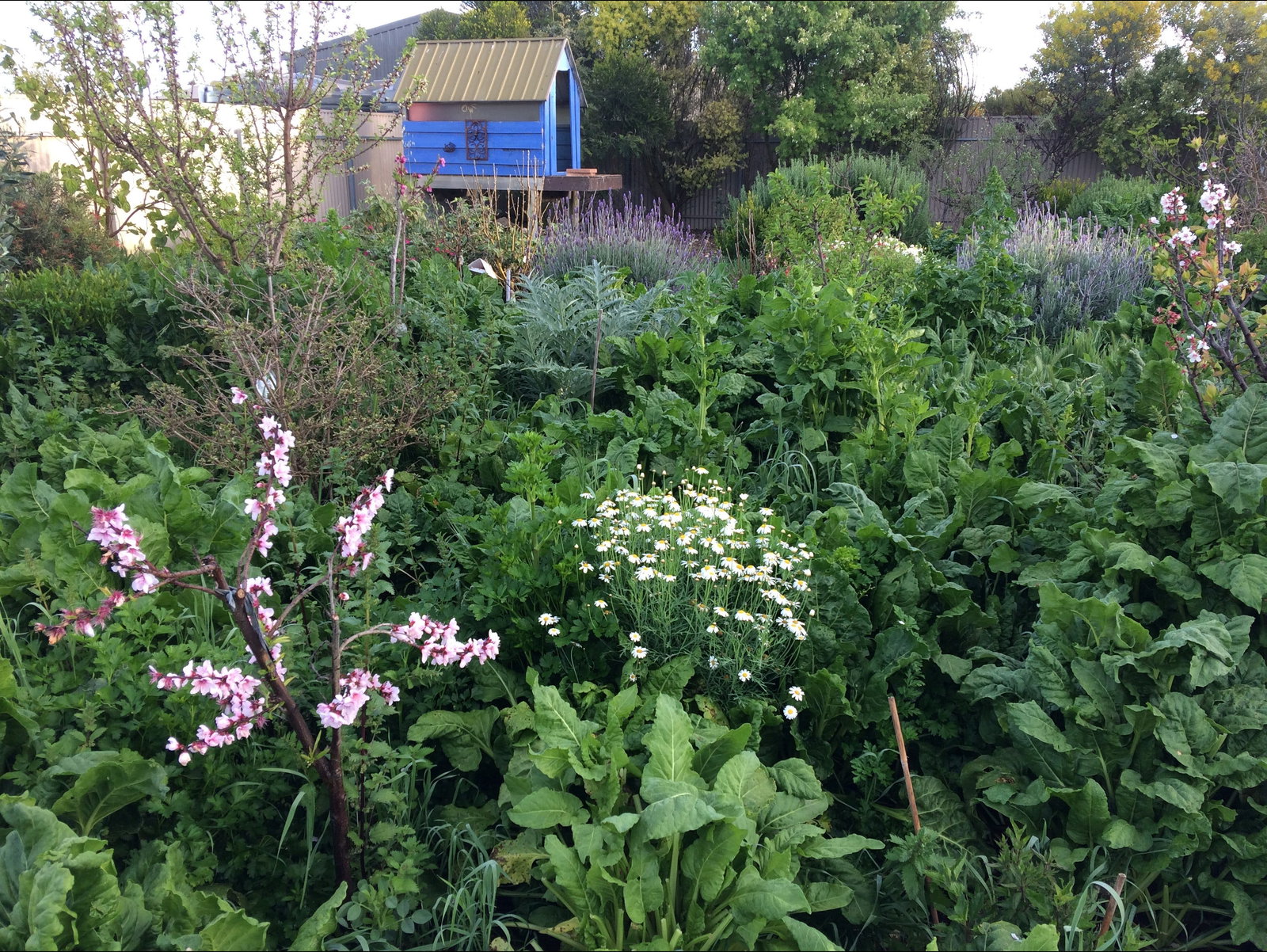  South Australia Travel