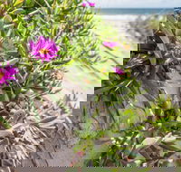 Fort Bribie - South Australia Travel