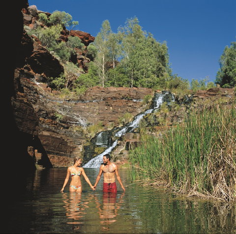 Fortescue Falls - South Australia Travel 0