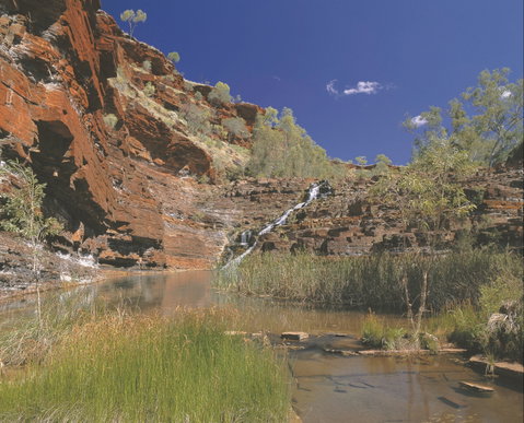 Fortescue Falls - South Australia Travel 1