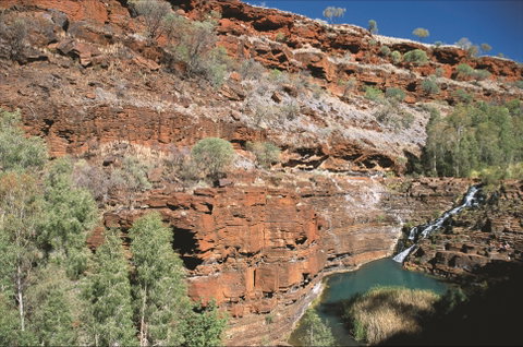 Fortescue Falls - South Australia Travel 2