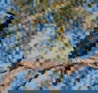 Greenough River Nature Trail - South Australia Travel