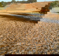 Gunning Golf Club - South Australia Travel