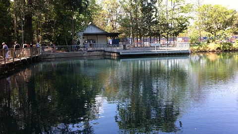Howard Springs Nature Park - South Australia Travel 1