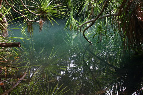 Howard Springs Nature Park - South Australia Travel 2