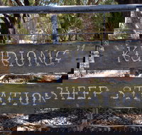 Kuriong Sheep Station - South Australia Travel