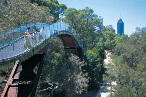 Law Walk - Kings Park - South Australia Travel 0
