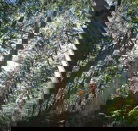 Leeuwin-Naturaliste National Park - Leeuwin - South Australia Travel