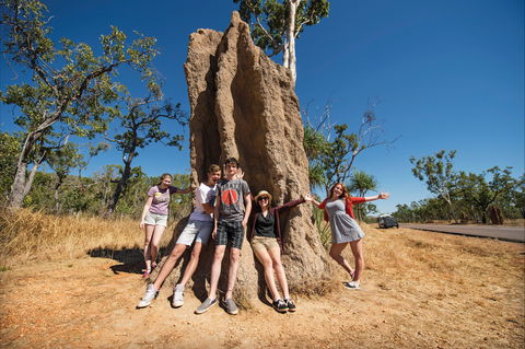 Magnetic Termite Mounds - South Australia Travel 0