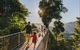 Mamu Tropical Skywalk - thumb 0