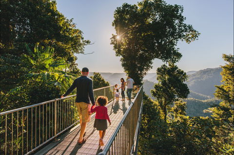 Mamu Tropical Skywalk - South Australia Travel 0