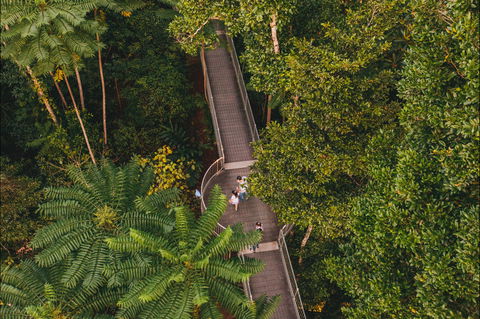 Mamu Tropical Skywalk - South Australia Travel 2