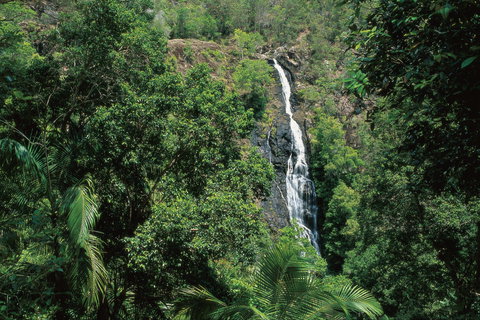 Mapleton Falls National Park - South Australia Travel 0