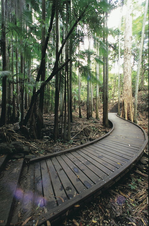 Mapleton Falls National Park - South Australia Travel 1