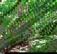 Mary Cairncross Scenic Reserve - South Australia Travel