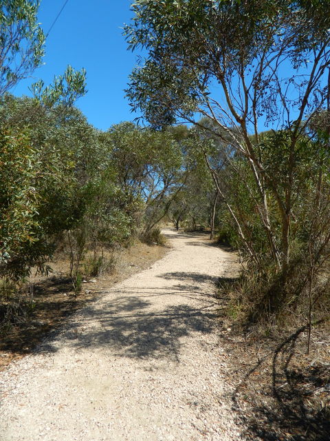 Meningie Lions Walking Trail - South Australia Travel 2