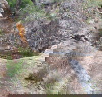 Mill-bullah Walking Track - South Australia Travel