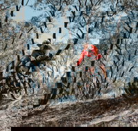 Mountain Bike Trails Deniliquin - South Australia Travel