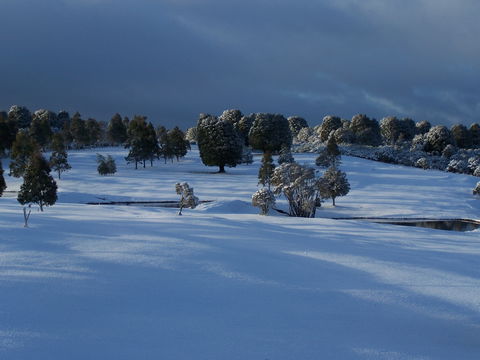 Mountain Vista Golf Club - South Australia Travel 2
