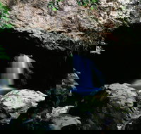 Natural Bridge Circuit Springbrook National Park - South Australia Travel