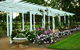 Newtown Park State Rose Garden - thumb 1