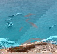 Nullarbor National Park - South Australia Travel