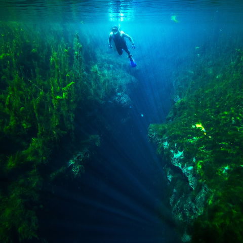 Piccaninnie Ponds Conservation Park - South Australia Travel 0