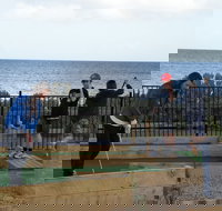 Port Vincent Putt Putt - South Australia Travel