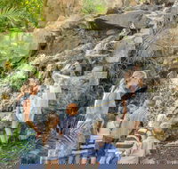 Queens Park Waterfall - South Australia Travel