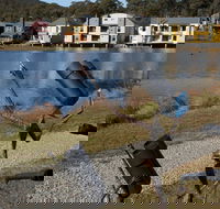 Sculpture Trail at Lake Crackenback Resort and Spa - South Australia Travel