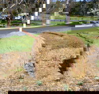 Stratford Historical Society and Museum - South Australia Travel